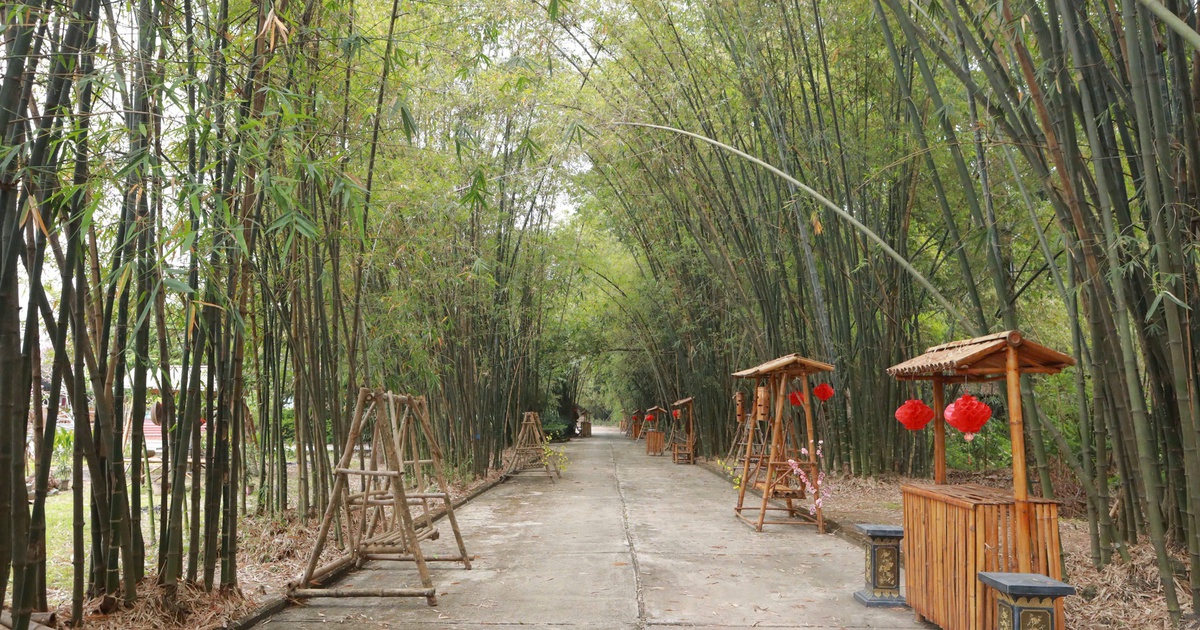 Phú An - 'ngân hàng tre' lớn nhất Việt Nam, xanh mát giữa vùng công nghiệp