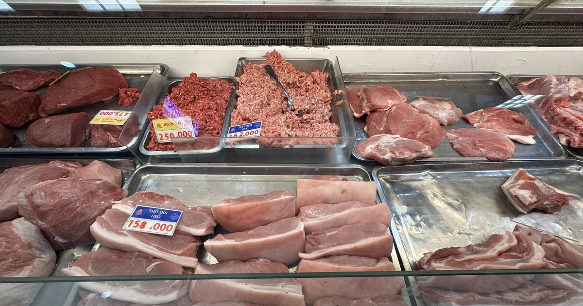 Giá heo hơi hôm nay 19.3.2026: Tăng thêm 2.000 đồng