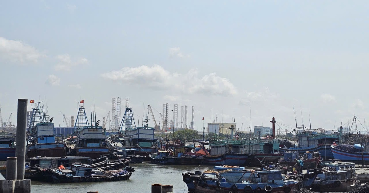 Vì sao TP.HCM chưa chi tiền hỗ trợ cho hàng trăm chủ tàu cá?