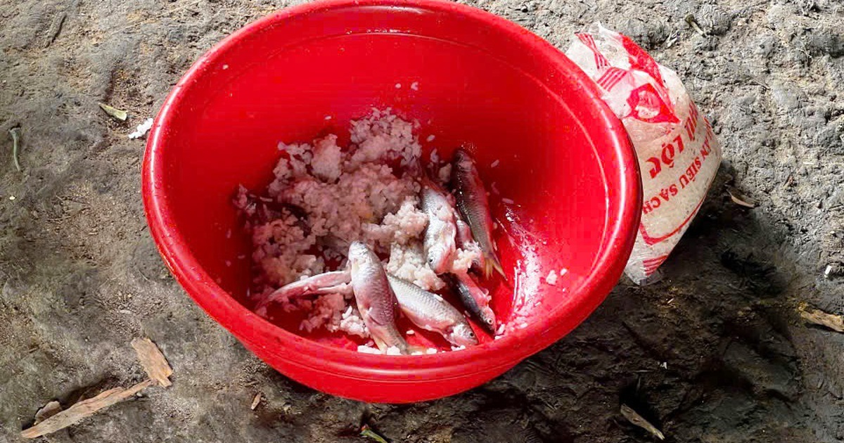 Nguy cơ Botulinum từ cá ủ chua ở Đà Nẵng, cơ quan chức năng siết kiểm soát