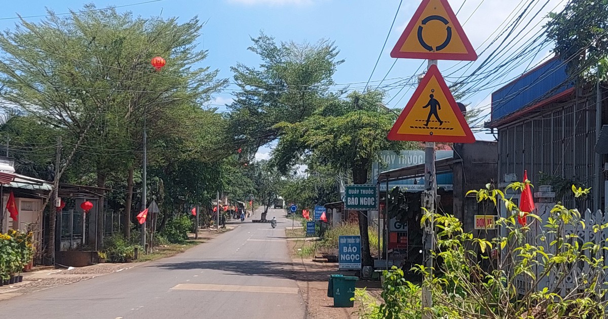 Tàn cây che khuất tầm nhìn