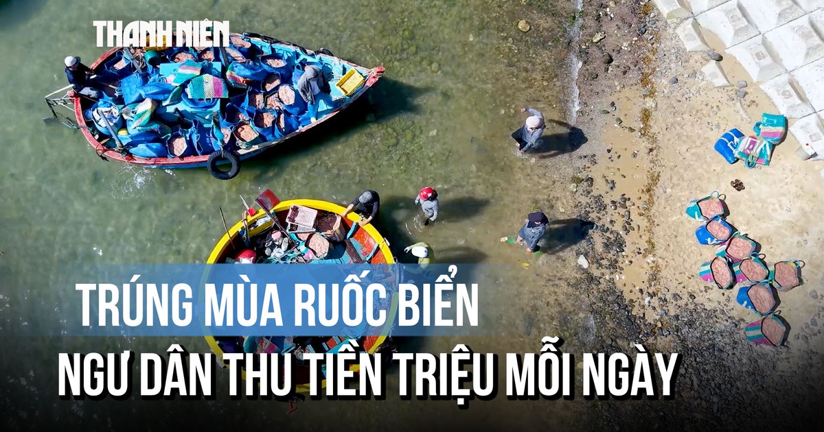 Cận cảnh ngư dân Quảng Ngãi bắt ruốc trên biển, thu tiền triệu mỗi ngày