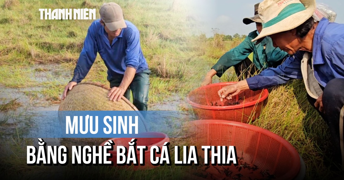 Nghề lạ: Đi vòng tròn đến chóng mặt bắt cá lia thia mưu sinh