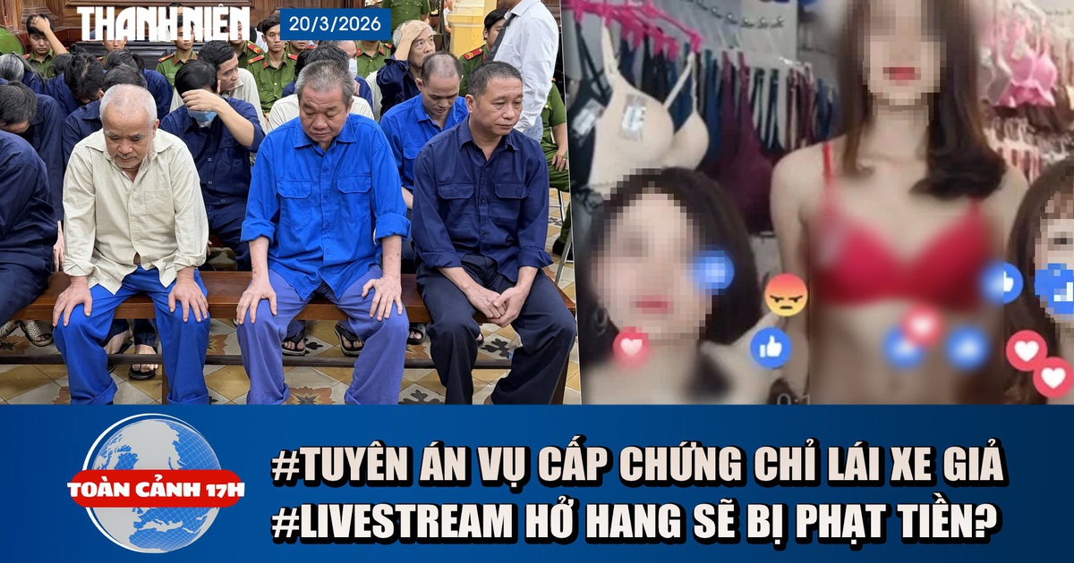 Toàn cảnh 17h: Tuyên án vụ làm giả chứng chỉ lái xe cho gần 16.000 người |  Livestream khoe thân sẽ bị phạt tiền?