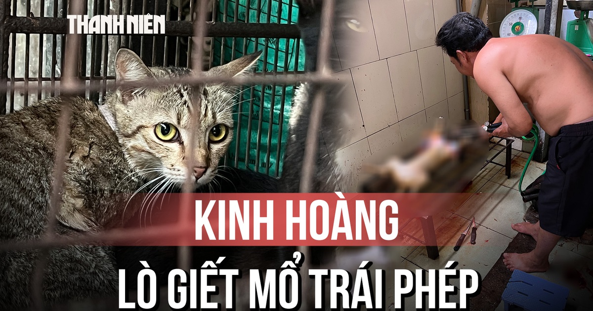 Kinh hoàng bên trong lò giết mổ chó mèo trái phép