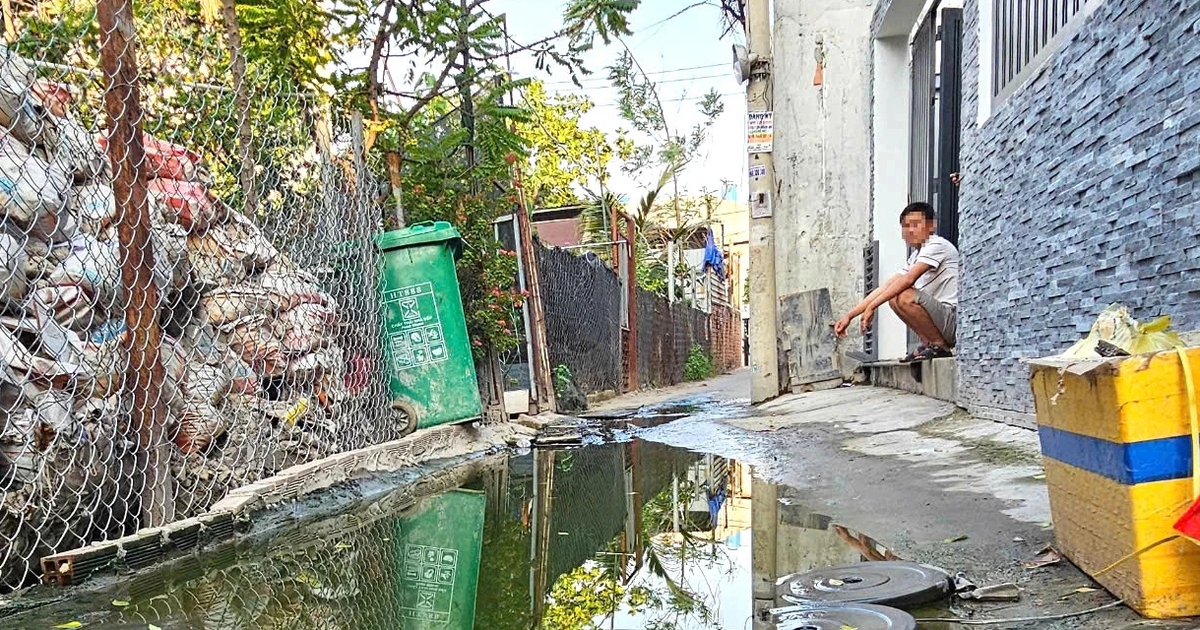 3 hộ xả thải, cả hẻm ở TP.HCM ngập nước h&ocirc;i g&acirc;y bức x&uacute;c