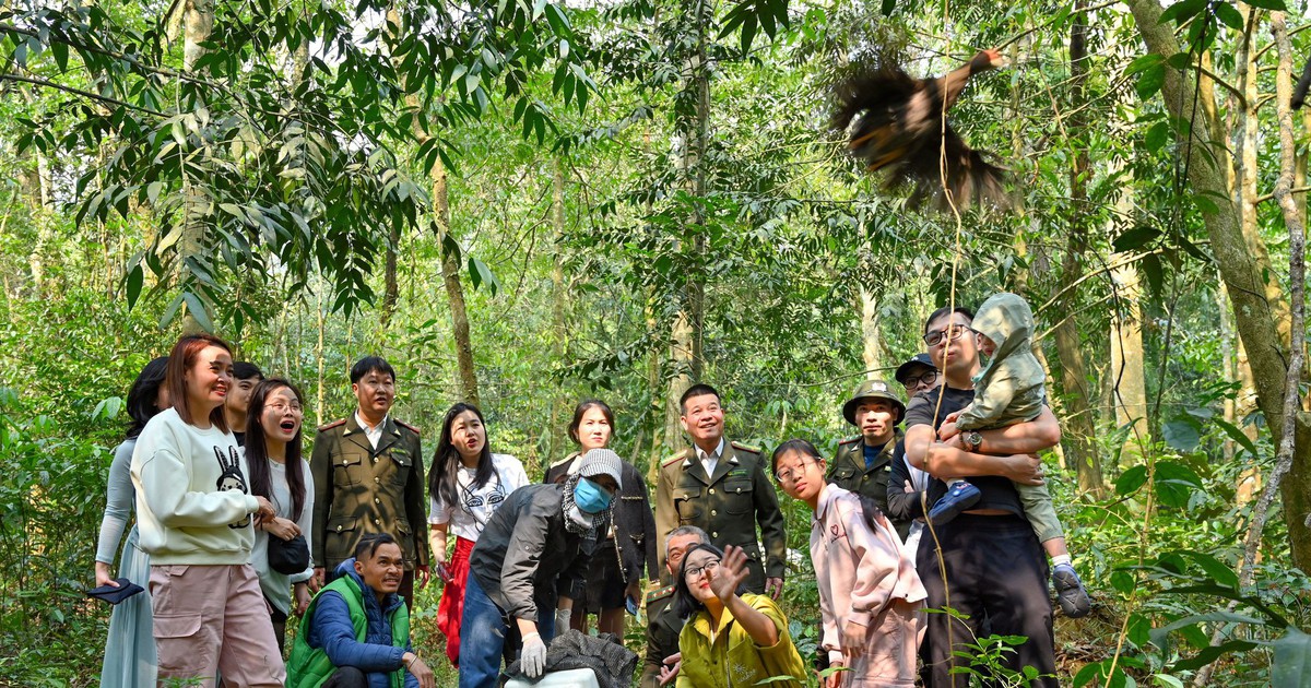 Ở rừng Cúc Phương, động vật hoang dã đang được 'trở về nhà' thay vì nuôi nhốt