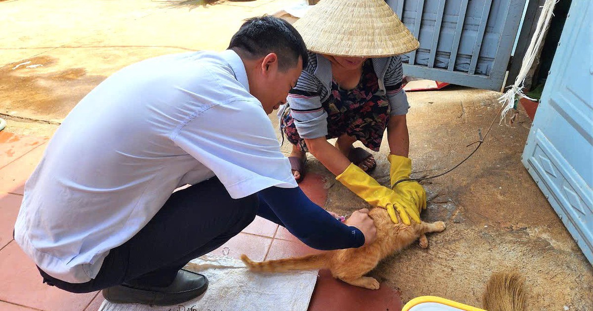 Đắk Lắk khẩn trương phòng, chống bệnh dại