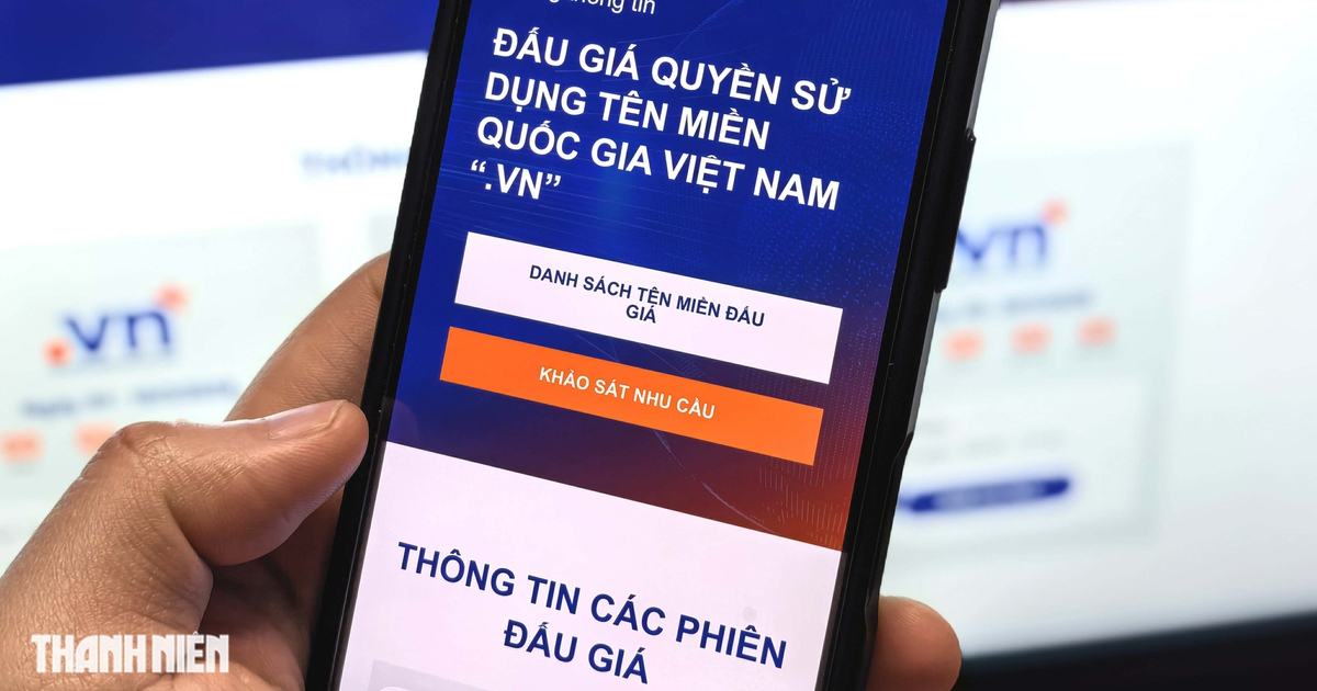 Tên miền ".vn" được đấu giá kỷ lục gần 1,6 tỉ đồng