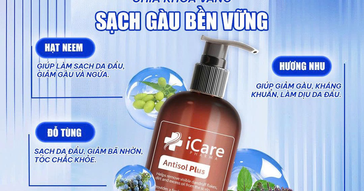 Chiết xuất đỗ tùng và hương nhu trắng: Giải pháp từ dược liệu cho da đầu gàu