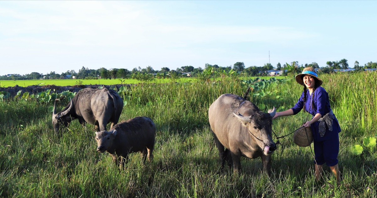 Cô gái miền Tây làm nông trại nghỉ dưỡng thu hút từ 200 - 300 lượt khách/tháng