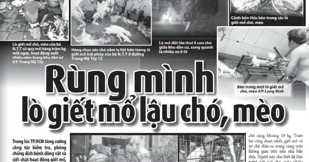 D&acirc;n mạng k&ecirc;u gọi hạn chế ti&ecirc;u thụ thịt ch&oacute; m&egrave;o