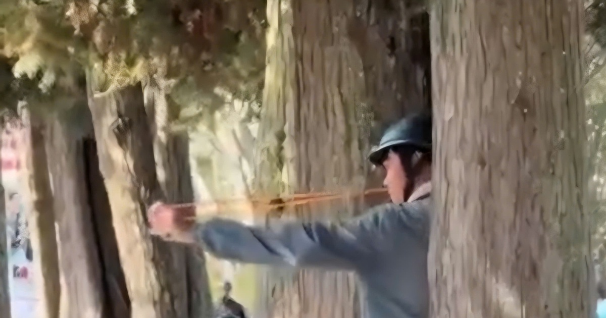 Truy tìm người bắn chim giữa phố Đà Lạt, hành hung phóng viên khi bị nhắc nhở