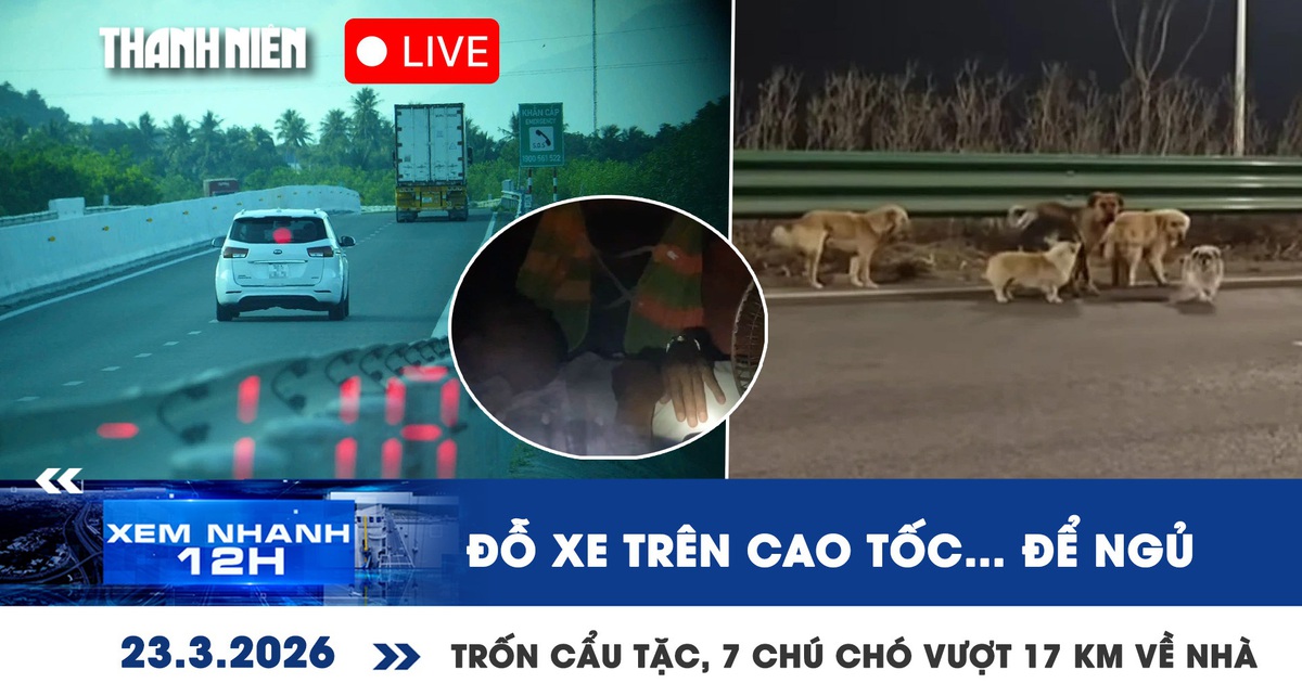 Xem nhanh 12h: Tuần này ở TP.HCM nóng nhất 36 độ | Trốn cẩu tặc, 7 chú chó vượt 17 km về nhà
