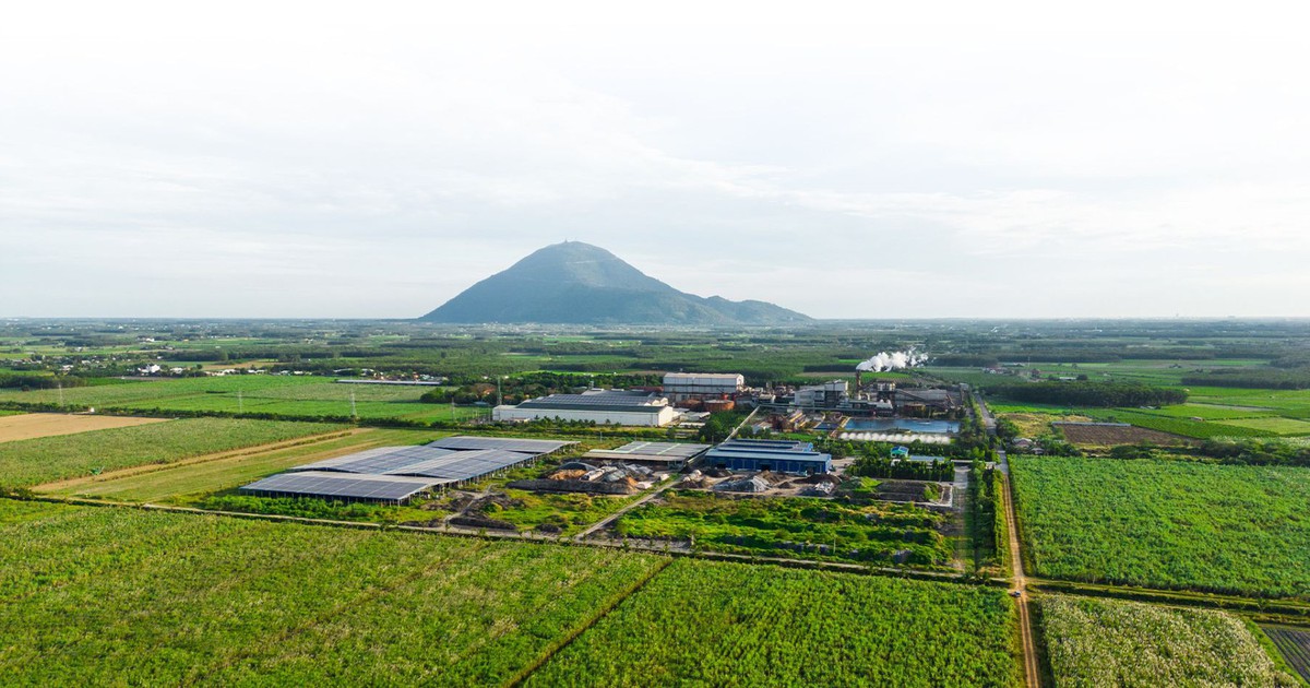 Công ty hạt nhân Tập đoàn TTC đăng ký bán ra hơn 43 triệu cổ phiếu SBT