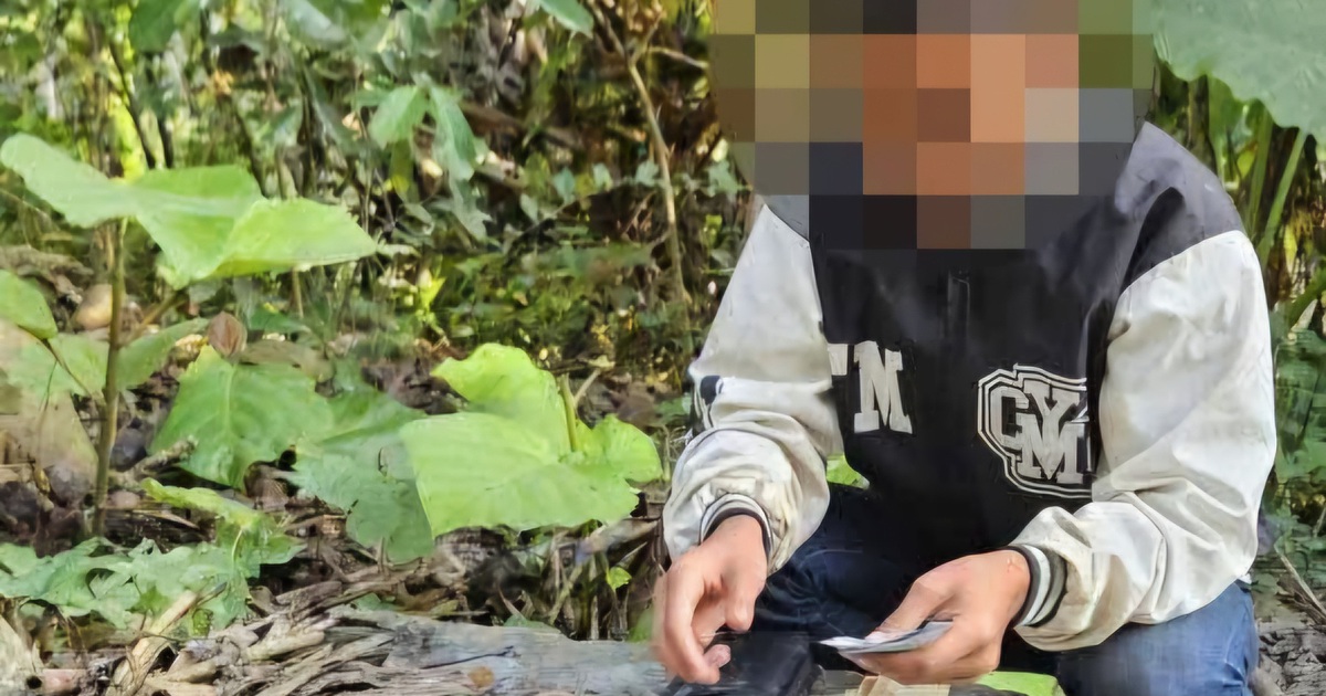 Thiếu ni&ecirc;n đột nhập trường học trộm heo đất chứa tiền ở Đ&agrave; Nẵng