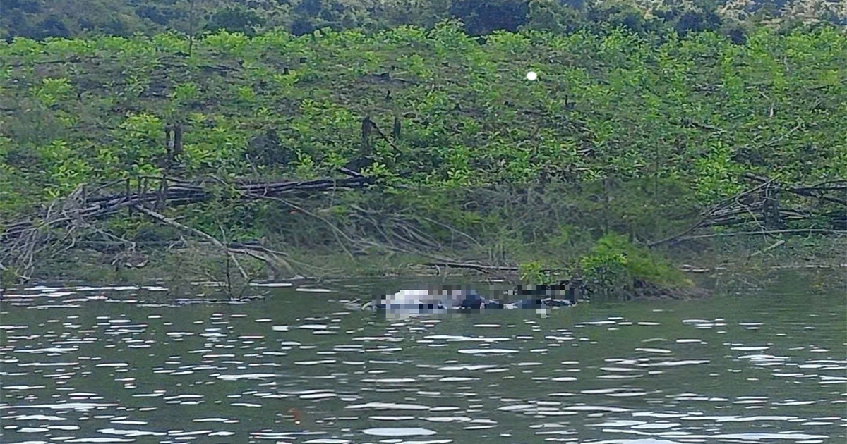 Ph&aacute;t hiện thi thể nam nổi tr&ecirc;n hồ Đ&aacute; Trải, c&ocirc;ng an Gia Lai v&agrave;o cuộc