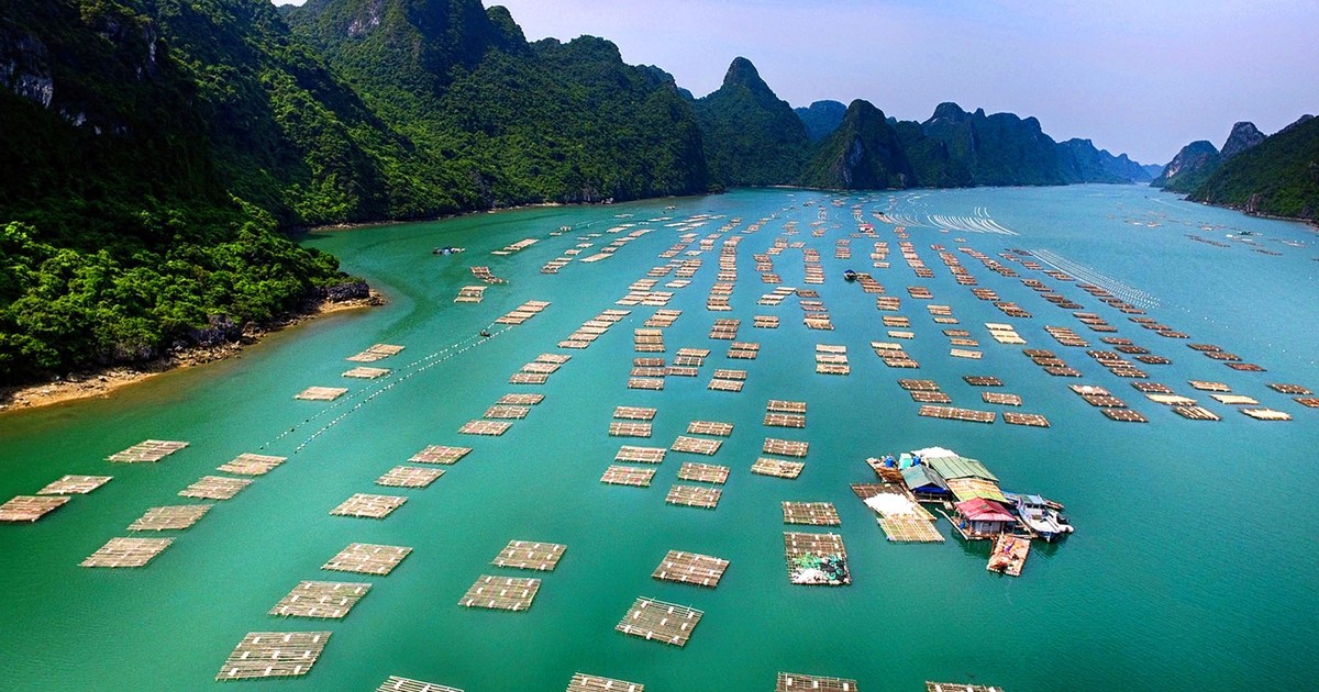 Việt Nam có 'viên ngọc quý' vào top 7 kỳ quan bậc nhất Đông Nam Á