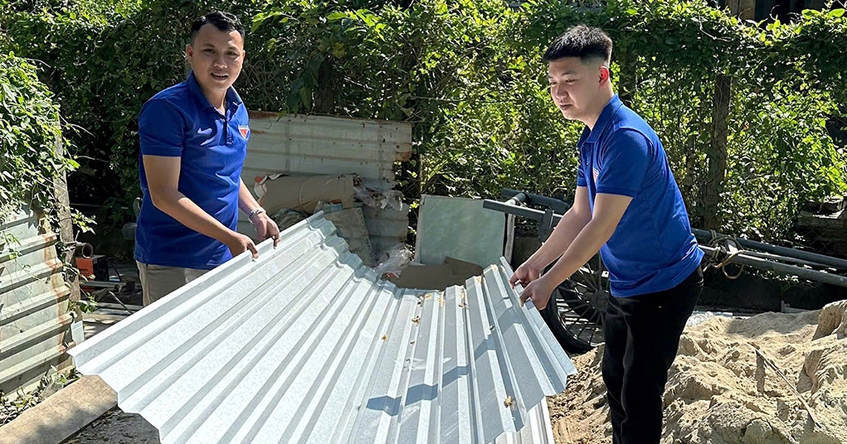 Những mái nhà ấm lại từ bàn tay người trẻ