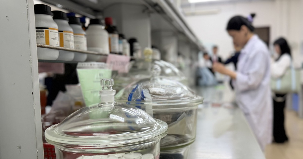 ‘Nhà giáo nghỉ hưu được ký hợp đồng toàn thời gian’ phù hợp xu hướng quốc tế