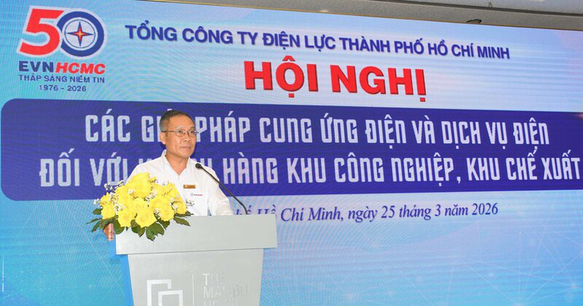 Ngành điện TP.HCM chuẩn bị sẵn các kịch bản ứng phó với điện mùa khô