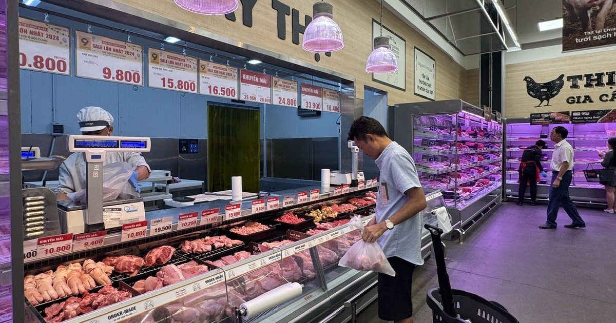 Giá heo hơi hôm nay 25.3.2026: Tiếp đà giảm