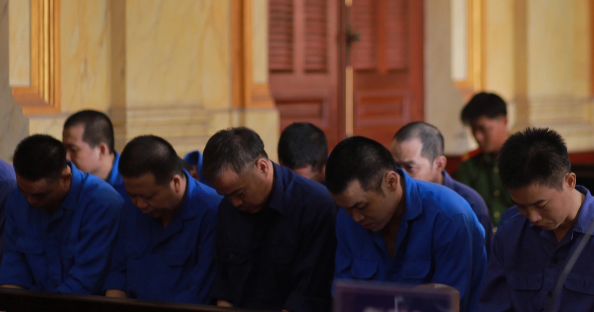 Đội bảo vệ Khu Công nghệ cao TP.HCM lãnh án vì "bán đường" cho xe tải