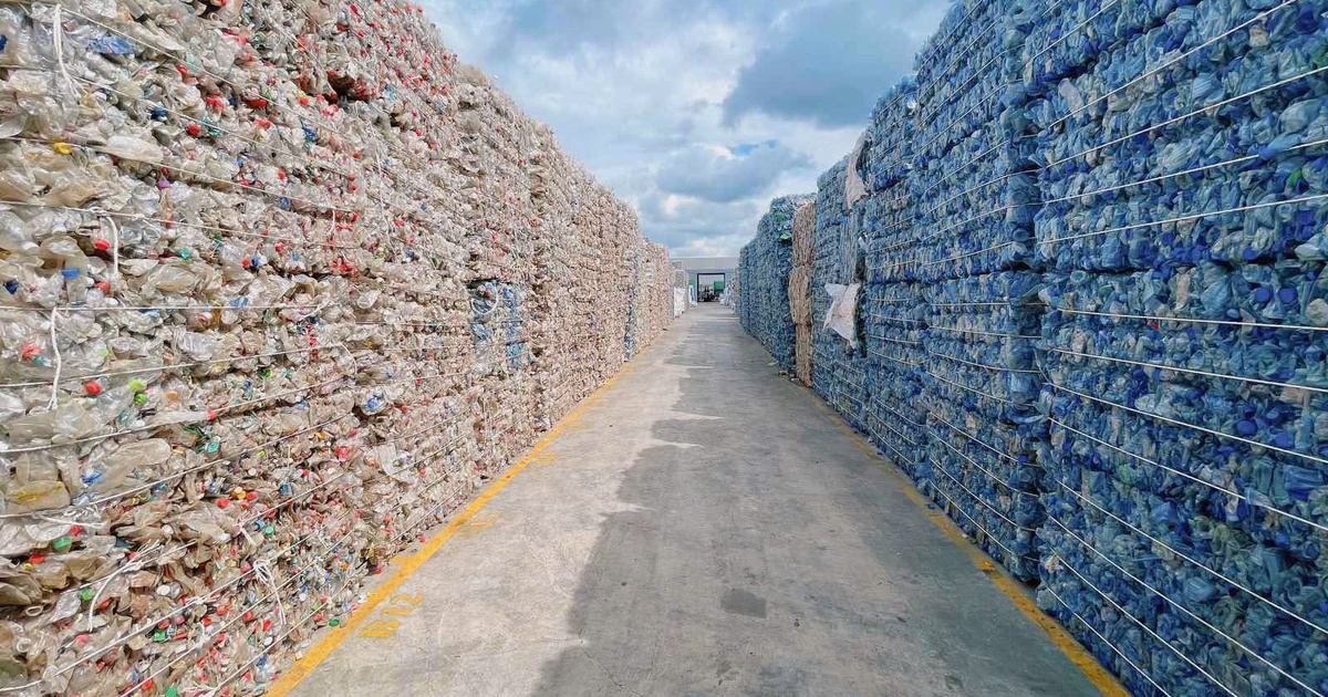 Xuất khẩu vào EU lại khó vì bao bì