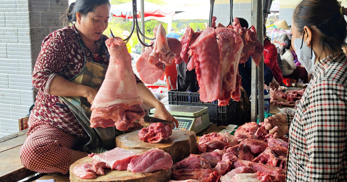 Giá heo hơi hôm nay 27.3.2026: Giảm trở lại