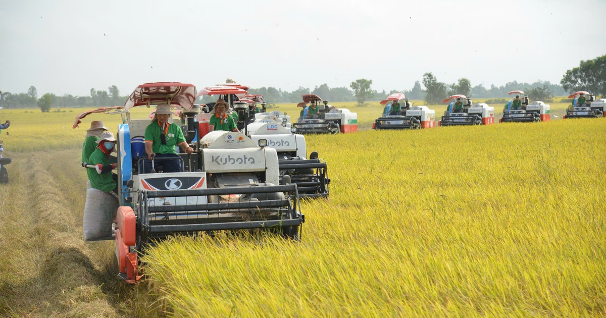 Nông nghiệp là trụ đỡ trong khủng hoảng