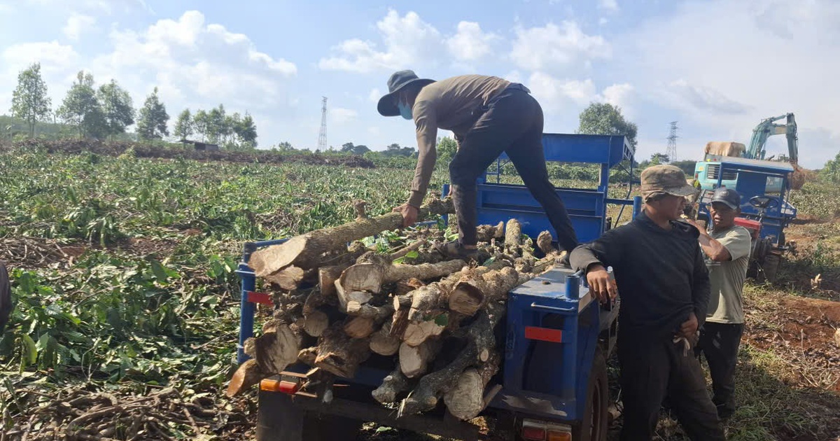 Đẩy nhanh tiến độ giải phóng mặt bằng dự án cao tốc Quy Nhơn - Pleiku