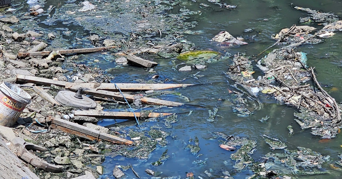 Ô nhiễm kênh 19 Tháng 5 ở TP.HCM: Rác thải bủa vây, nước đen bốc mùi thối