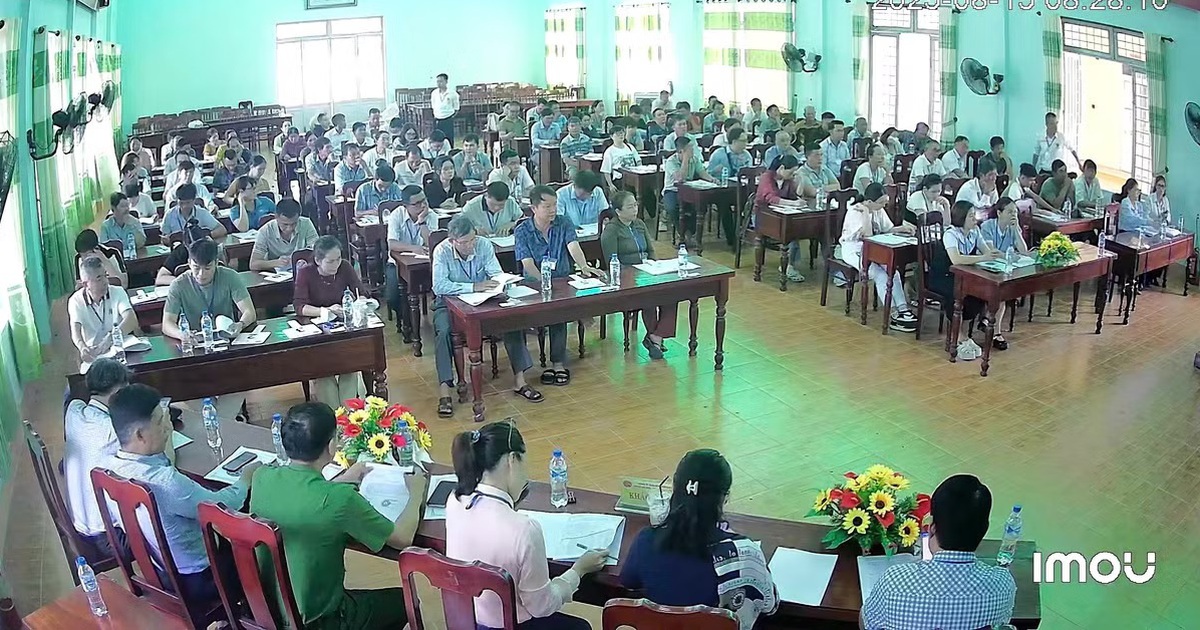 Đấu giá cao bất thường rồi bỏ cọc, 28 lô đất ở Quảng Ngãi bị hủy kết quả