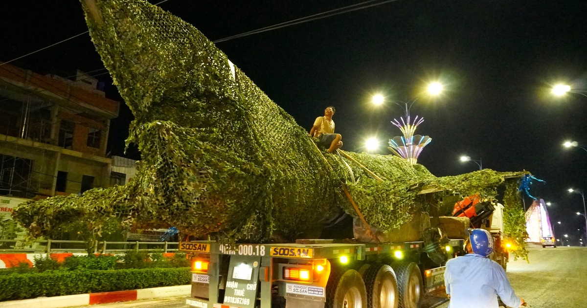 Vì sao phải di dời máy bay MiG-21 bị "bỏ quên" ở Cà Mau vào ban đêm?