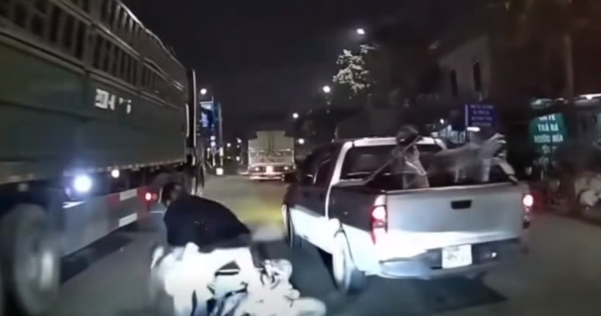 Thấy tài xế đi ẩu, muốn báo CSGT xử phạt cần làm gì?