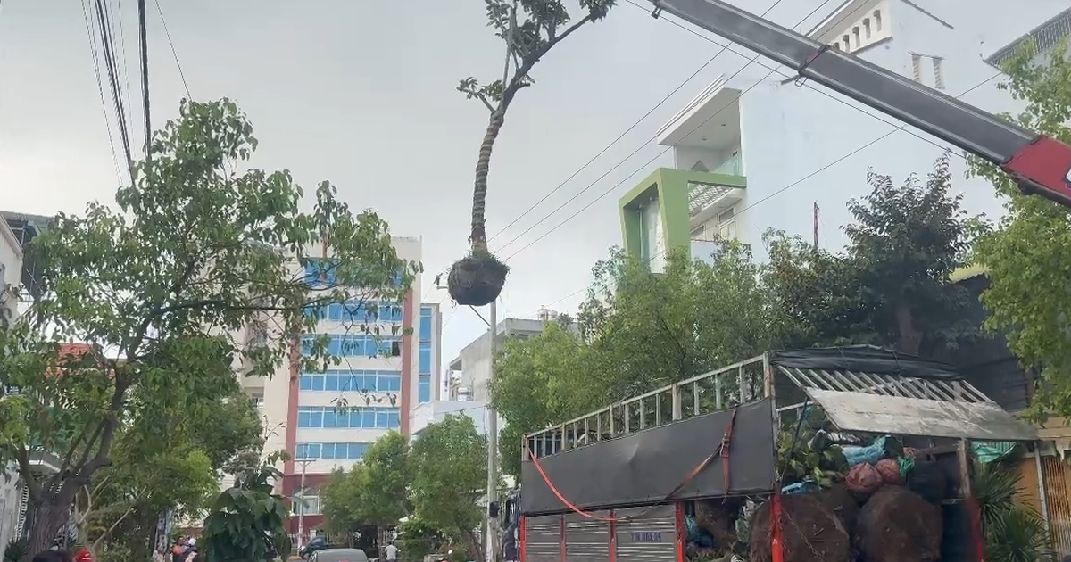 Lâm Đồng: Xe tải gắn cẩu va vào lưới điện 3 pha, tài xế tử vong