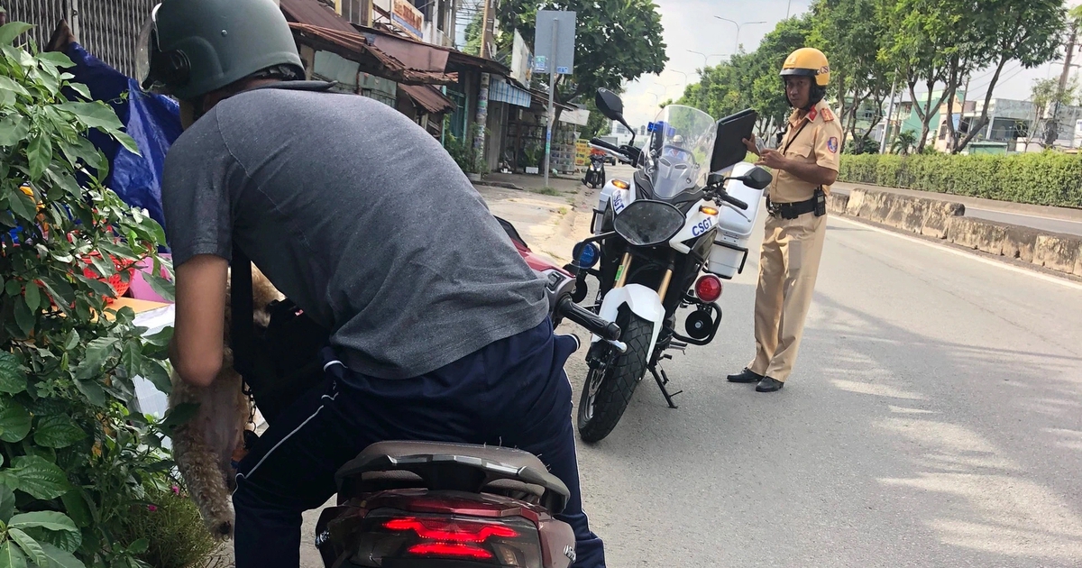 Ngại đường vòng, xe máy liều đi ngược chiều quốc lộ bị CSGT TP.HCM xử phạt