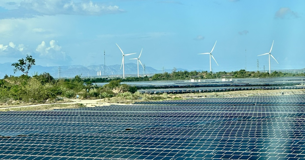 Chính phủ yêu cầu 10% công sở và hộ gia đình dùng điện mặt trời