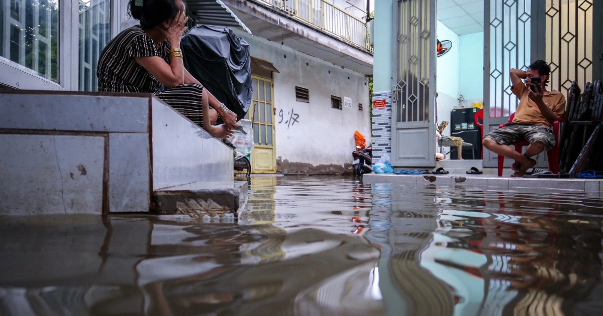 TP.HCM đẩy mạnh ứng dụng công nghệ, AI trong phòng chống thiên tai