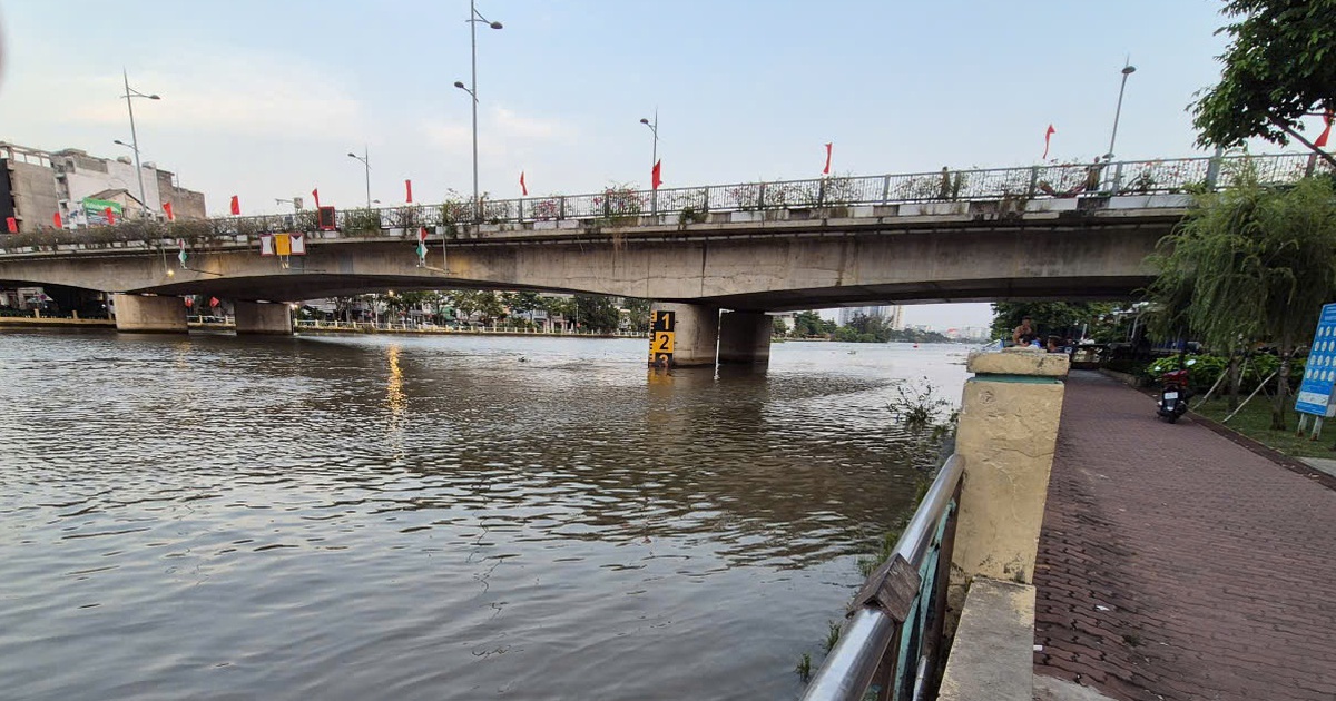 Chuyện phóng sinh và cái vòng luẩn quẩn