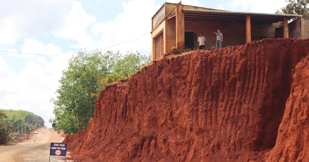 Bài học từ 3 cây sộp