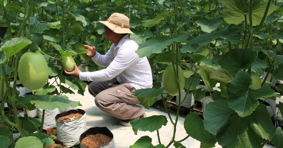 Quỹ hỗ trợ cộng đồng David Dương giúp người dân vươn lên làm giàu