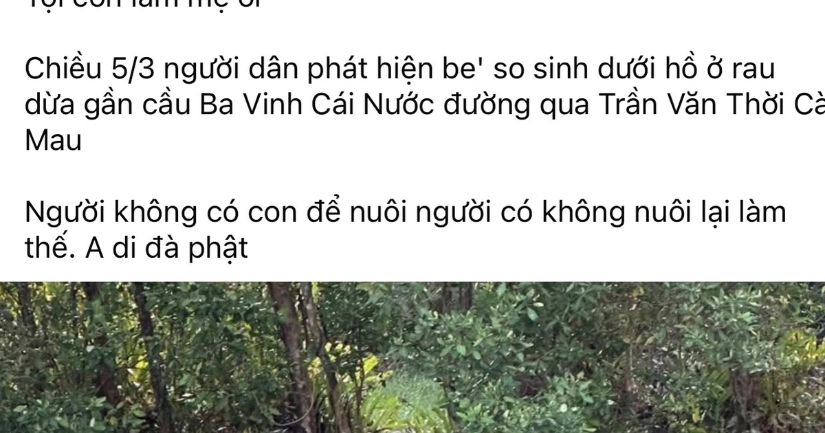 Bé 12 tuổi đang đi chơi phát hiện thi thể trẻ sơ sinh trên sông Ba Vinh