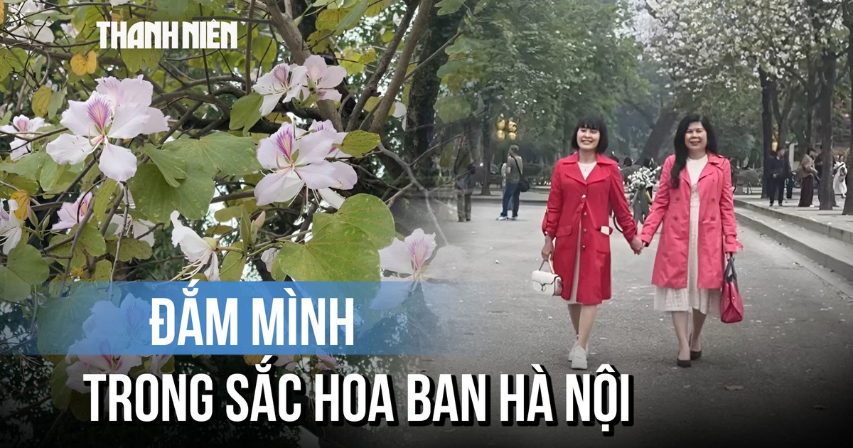 'Nàng thơ' xúng xính chụp hình cùng hoa ban Hà Nội
