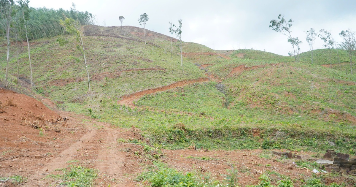 Truông Mây lưu dấu cuộc khởi nghĩa Chàng Lía