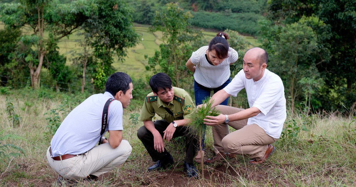 Việt Nam thu thêm gần 72 triệu USD nhờ "bán không khí sạch"