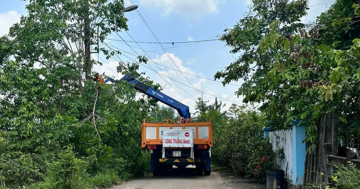 Ph&aacute;t quang để đảm bảo an to&agrave;n điện