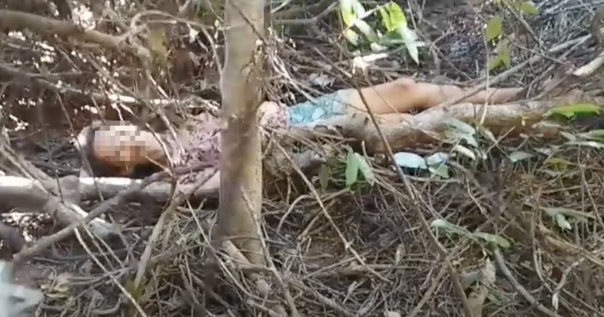 Mất tích 10 ngày, người phụ nữ được tìm thấy trong rừng sâu