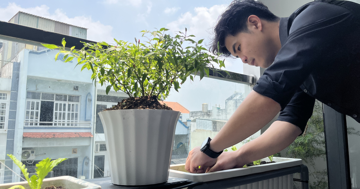 Giữa mùa nắng nóng gay gắt, vì sao người trẻ đổ xô trồng cây ở ban công?