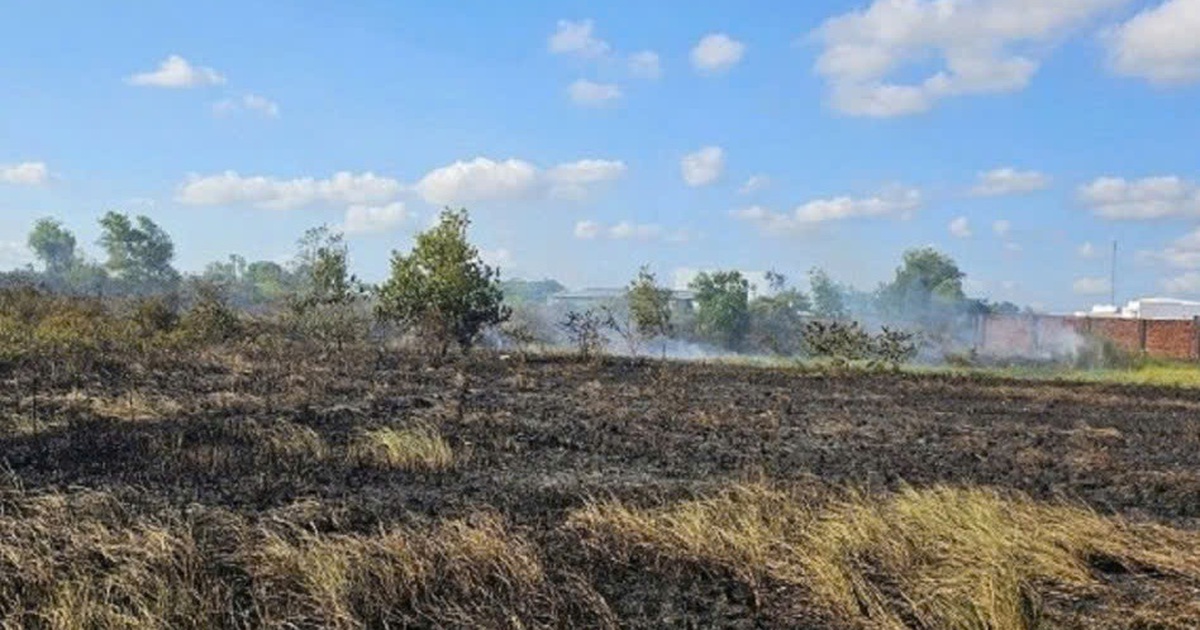 Người phụ nữ 62 tuổi tử vong khi đi đốt đồng